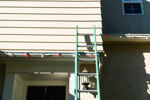 Best Carpet Removal and Disposal  in Rainbow Park, FL